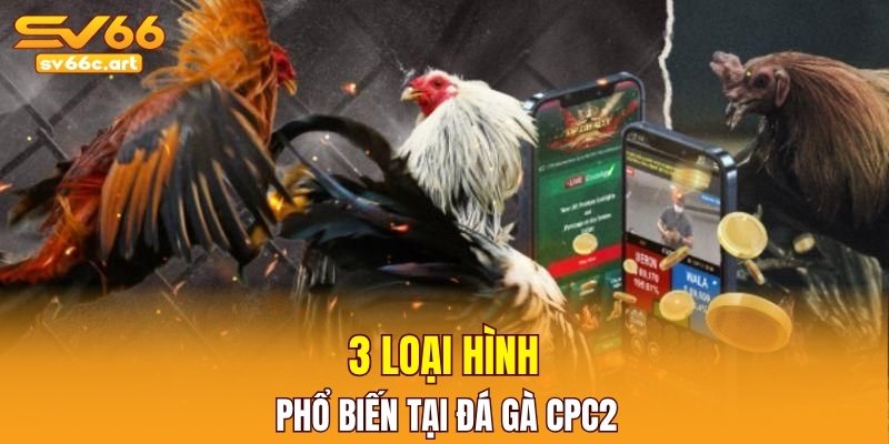 3 loại hình phổ biến tại đá gà CPC2