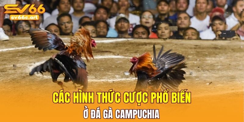 Các cửa cược ẩn chứa may mắn có gì?