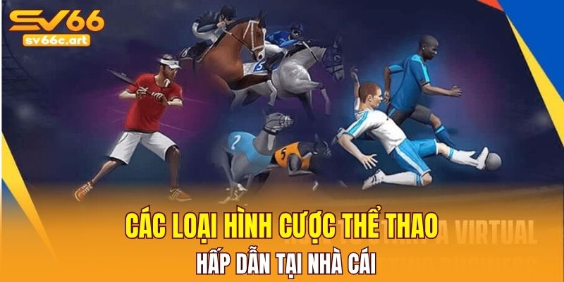 Các loại hình cược thể thao hấp dẫn tại nhà cái