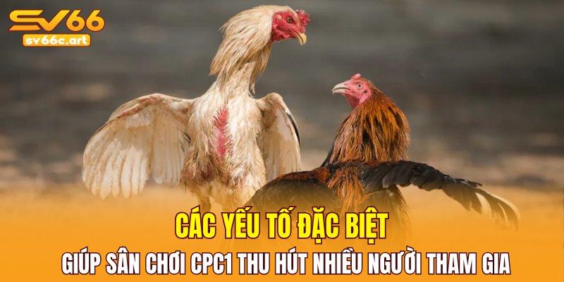 Các yếu tố đặc biệt giúp sân chơi CPC1 thu hút nhiều người tham gia