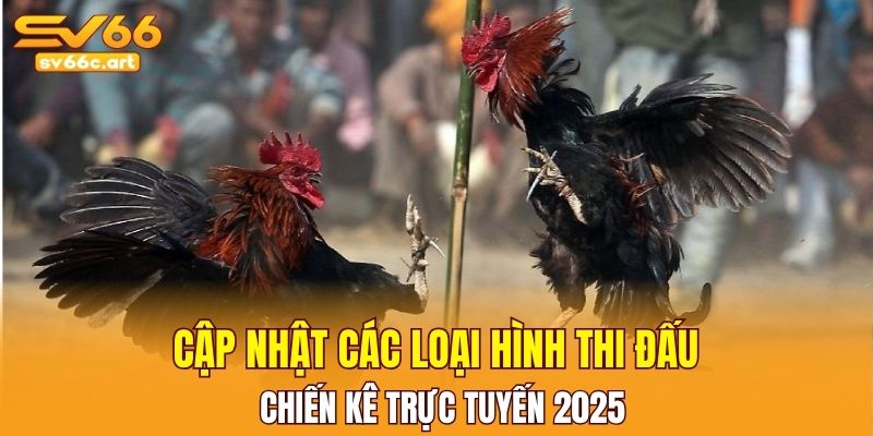 Cập nhật các loại hình thi đấu chiến kê trực tuyến 2025
