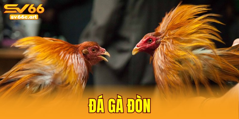đá gà đòn