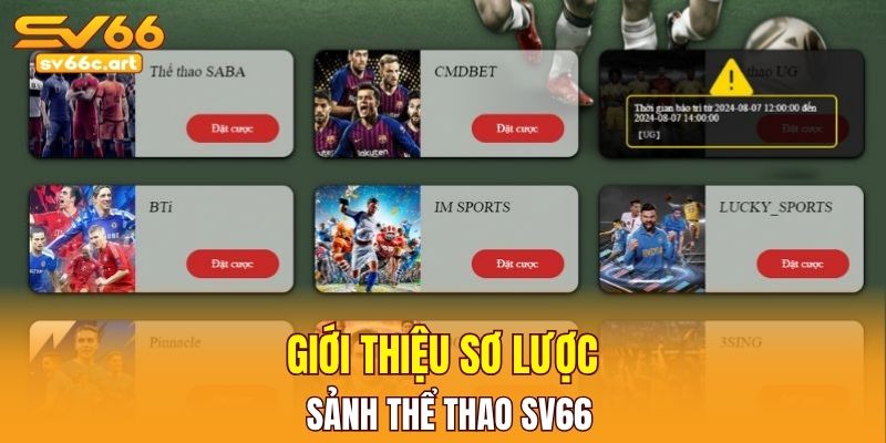 Giới thiệu sơ lược sảnh thể thao SV66