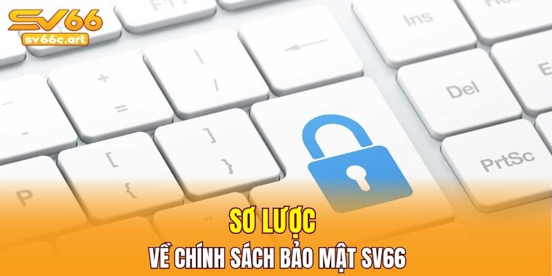 Khái quát về thông tin chính sách 