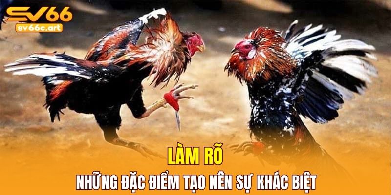 Luật thi đấu rõ ràng được hé lộ