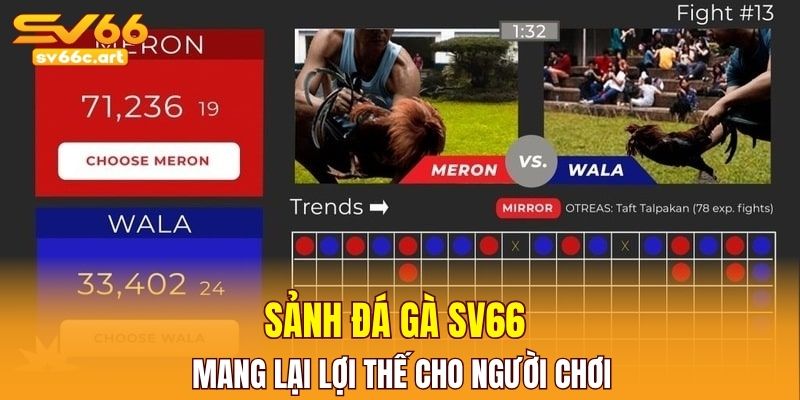 Sảnh đá gà SV66 mang lại lợi thế cho người chơi