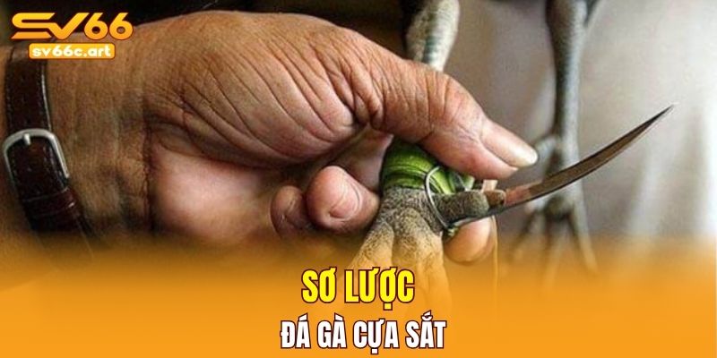 Sơ lược đá gà cựa sắt