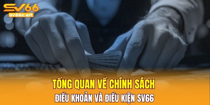 Tổng quan về chính sách điều khoản và điều kiện SV66 